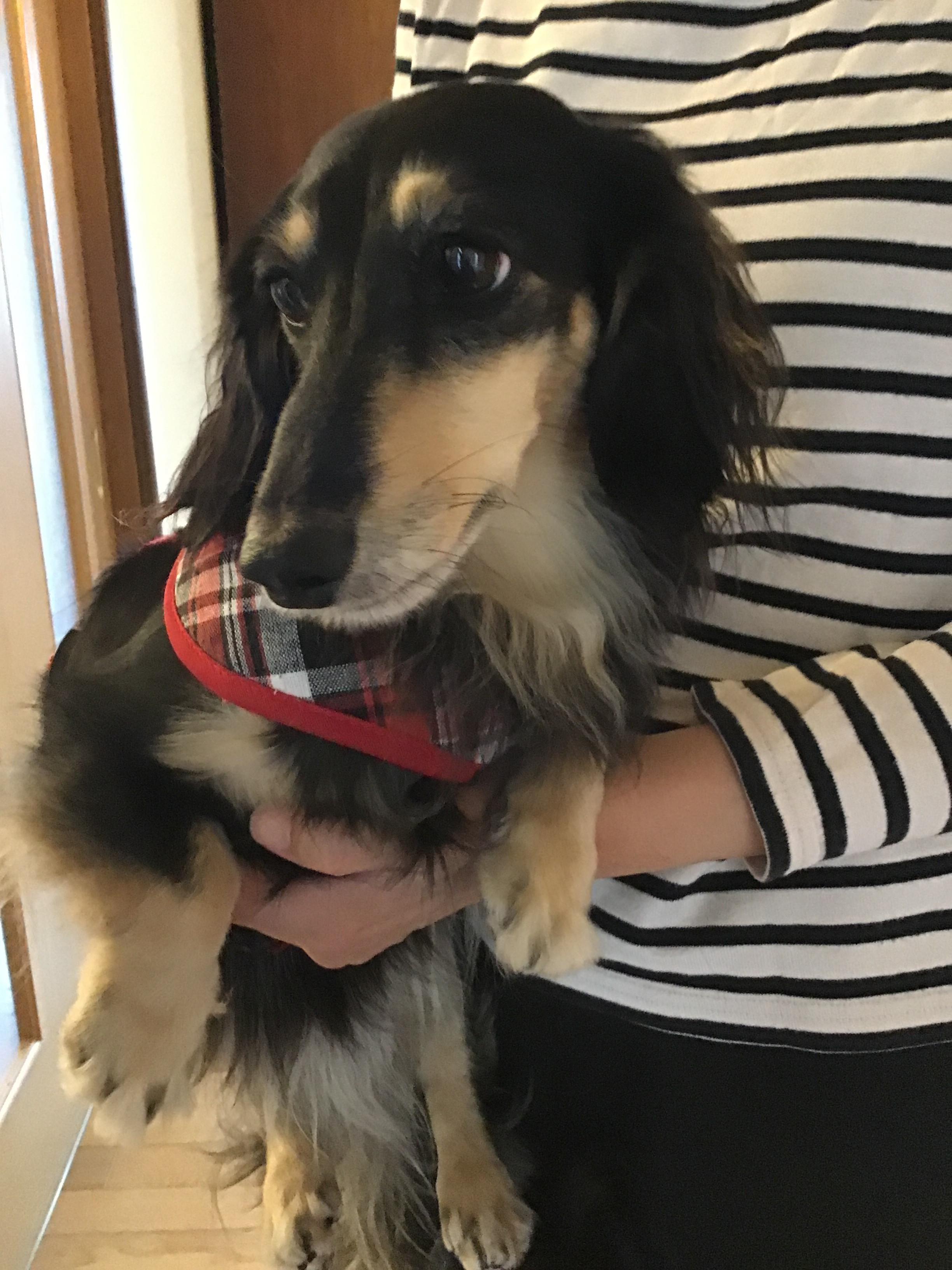 おきゃくわんの写真39