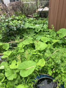 写真 2025-04-25 16 05 02 (1)