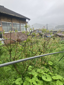 写真 2025-04-25 16 05 02 (2)