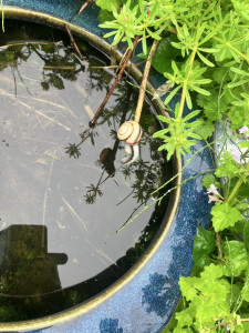 写真 2025-04-25 16 05 02