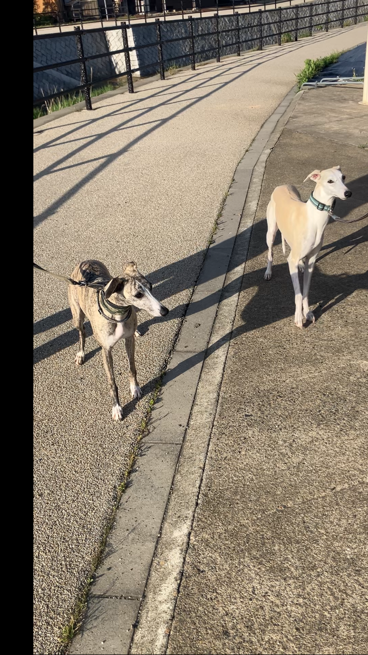 おきゃくわんの写真36