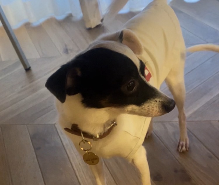 おきゃくわんの写真40